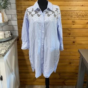 ZARA Button Down Embroidered Striped Dress